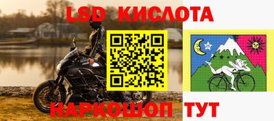 шишки Бийск