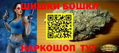 шишки Бийск