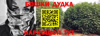 шишки Бийск