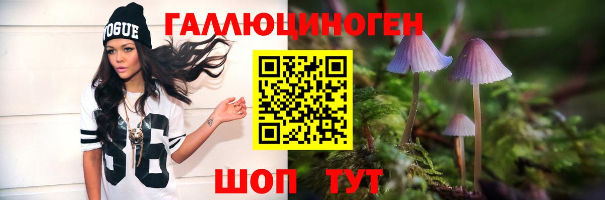 Галлюциногенные грибы мицелий  Вход с VPN  Керчь 